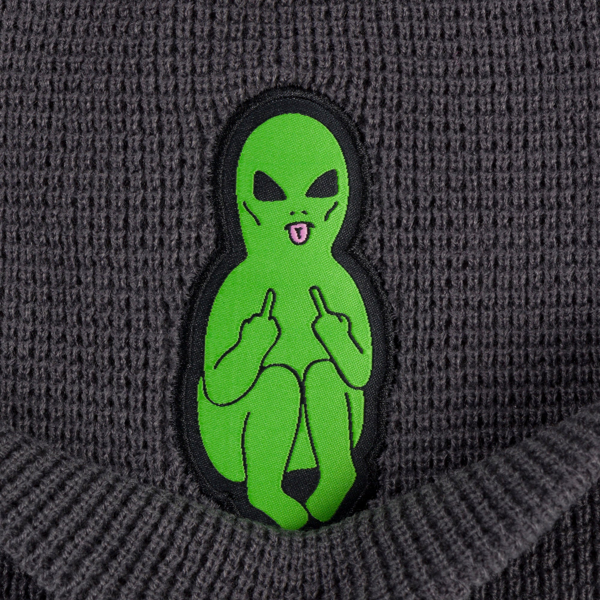 RIPNDIP Lord Alien Beanie  (Charcoal)