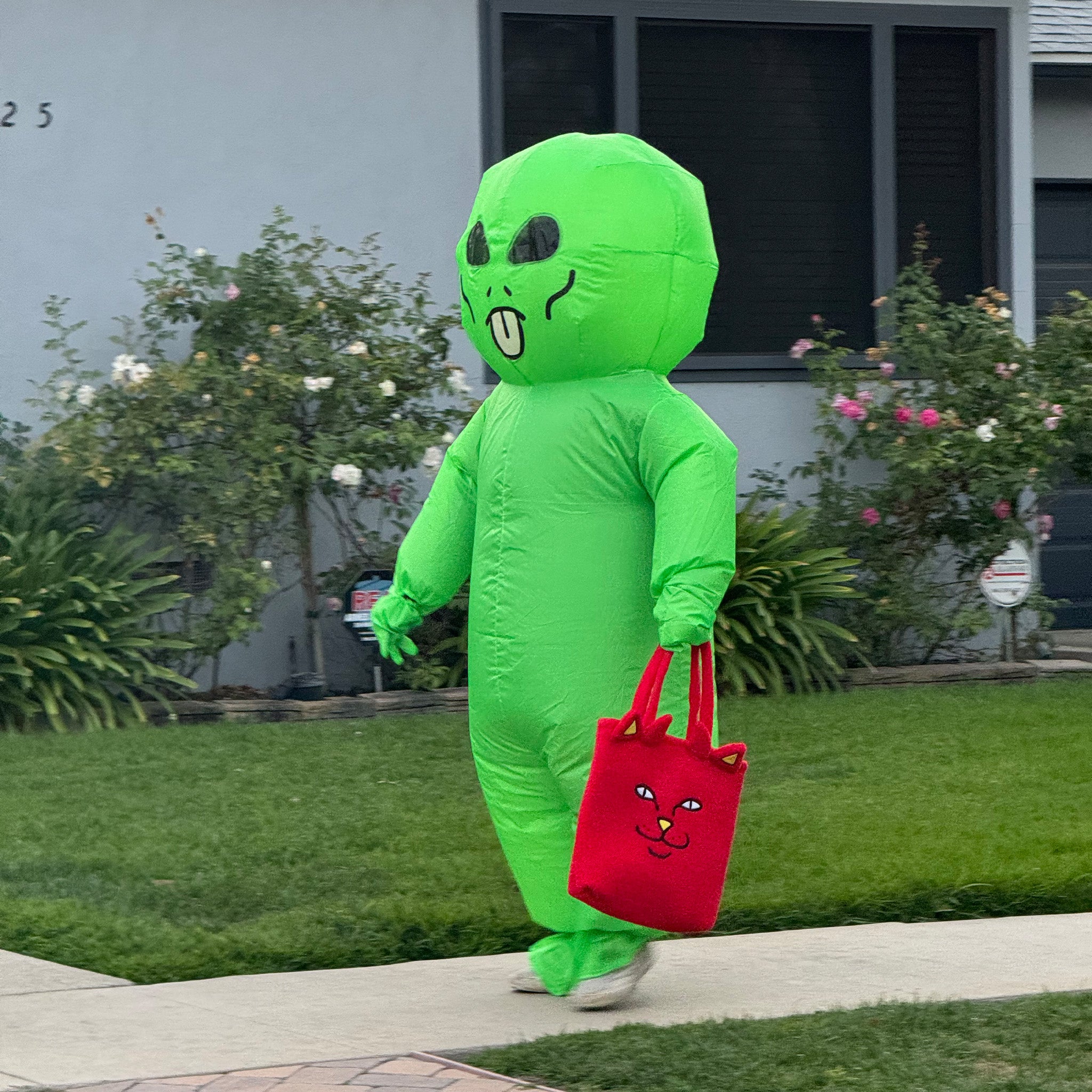 RIPNDIP Alien Inflatable Costume (Green)