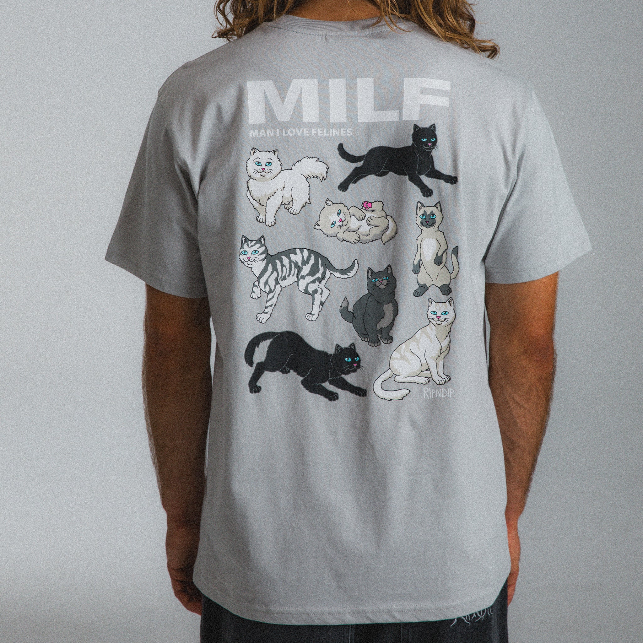 RIPNDIP Man I Love Felines Tee (Grey)