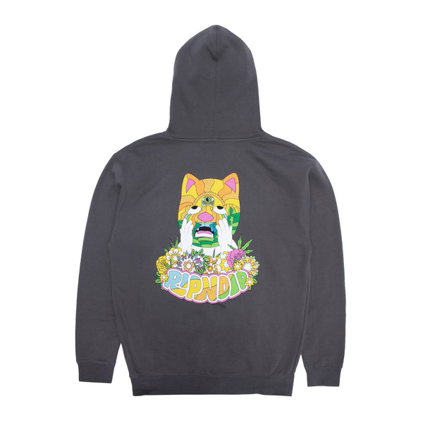 Pretty Sad Hoodie (Charcoal) – RIPNDIP